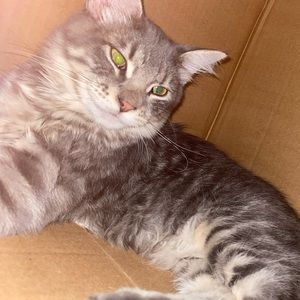 Meet your Posher, Yuri